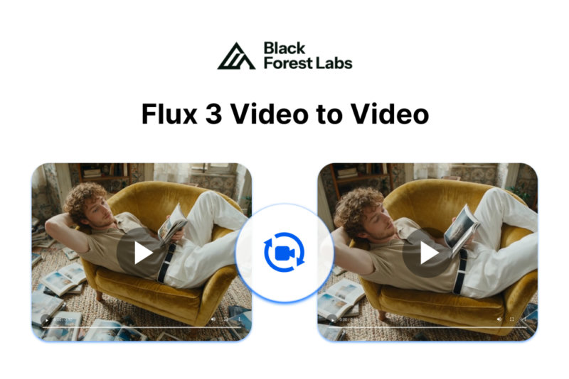 Flux 3 Video To Video
