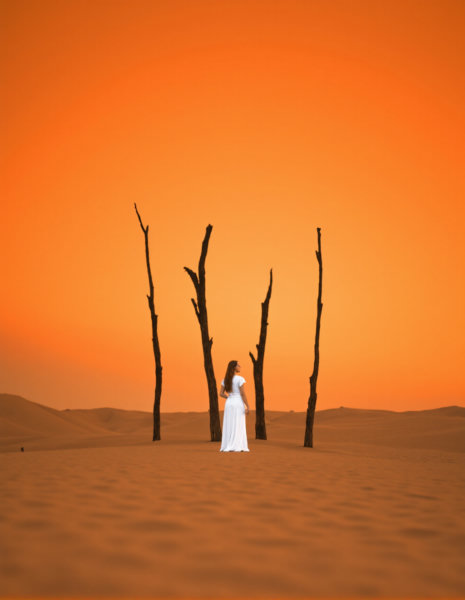 Elizabeth Gadd Style - FLUX