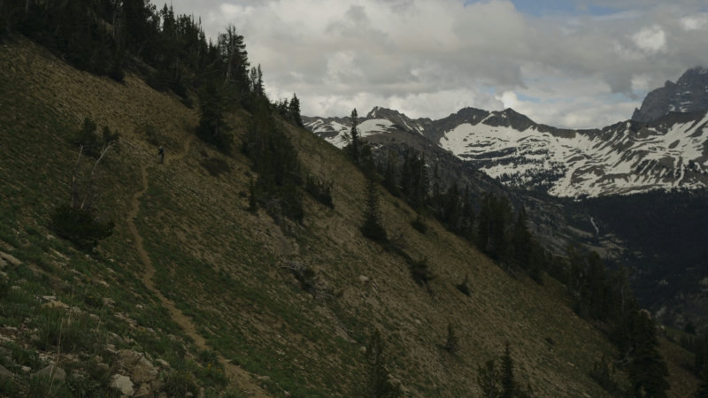 rdwd photo fal ai v01 - v1.0