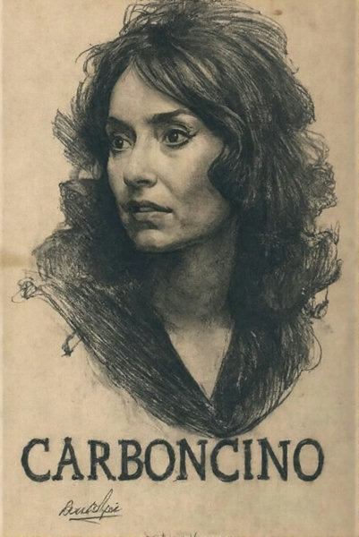 CARBONCINO F1- Expressive Charcoal Style for FLUX - v1.0