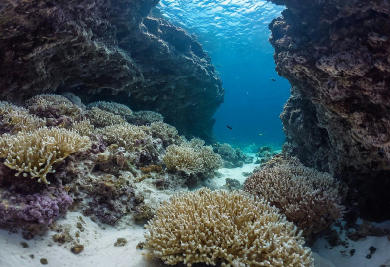 Underwater Environment v01 - SDXL_v01