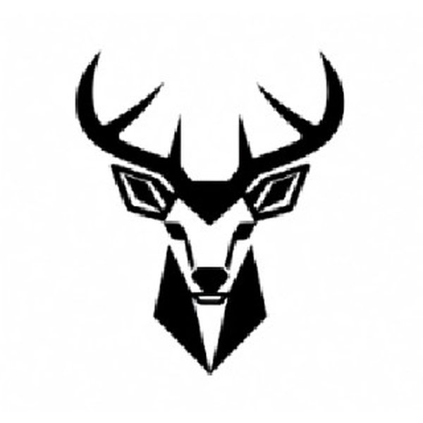 Geometric-logo - v1.0